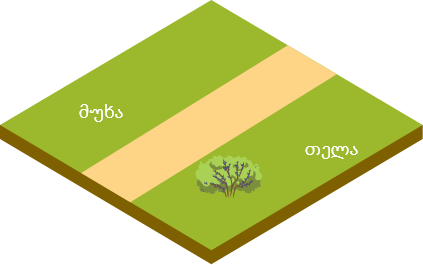ground