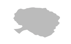 shadow